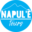 Logo Napule tours