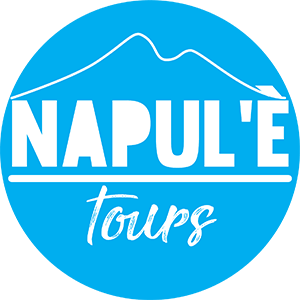 Logo Napule tours